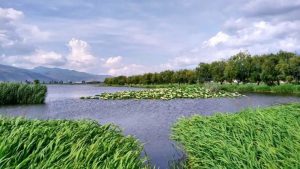 滇池余韵：草海-滇史