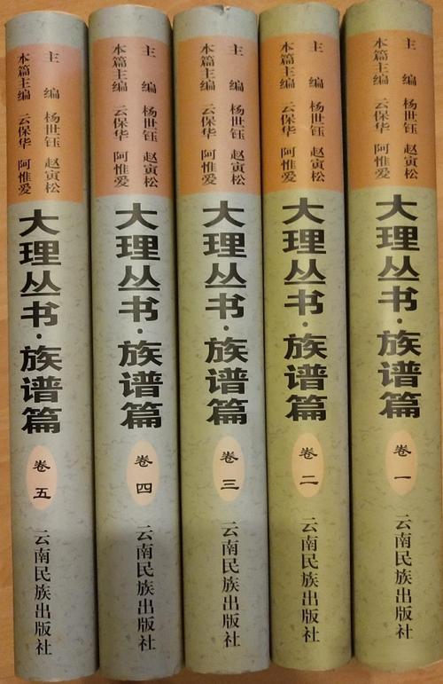 大理丛书·族谱篇（5册全）-滇史