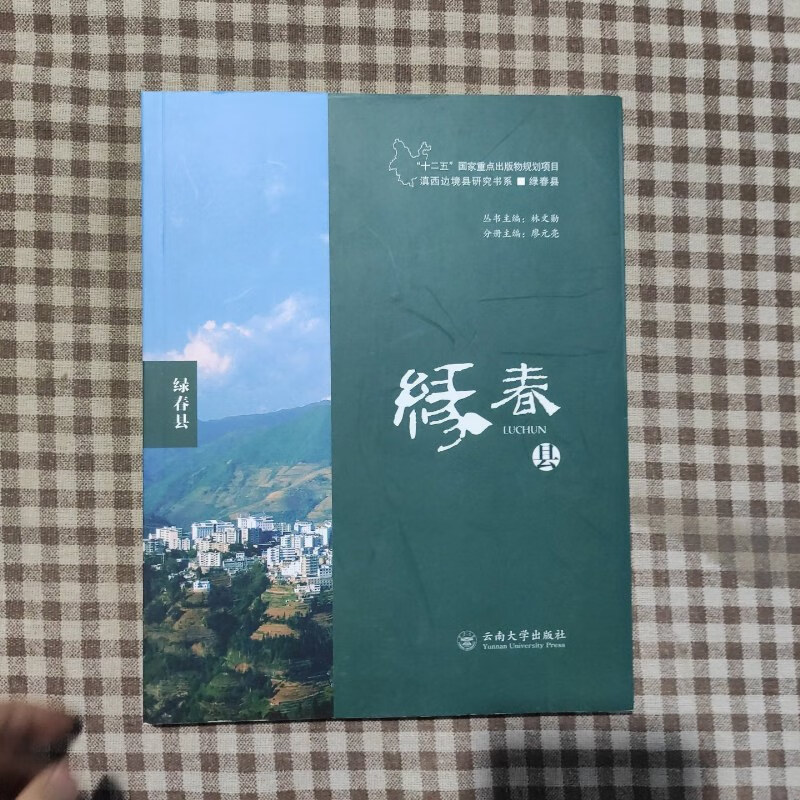 林文勋主编；廖元亮分册主编：《滇西边境县研究书系·绿春县》-滇史